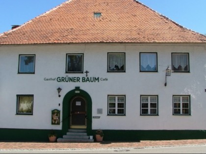 Photo: Grüner Baum